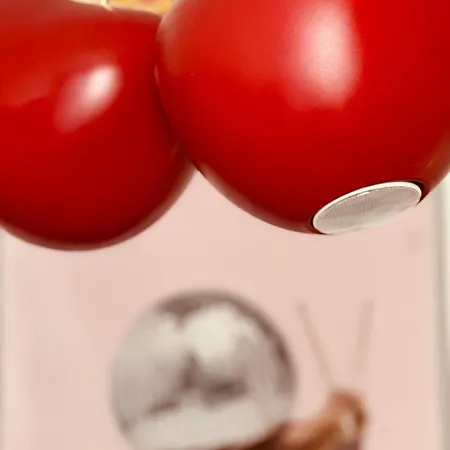 Lepois & 5 Etoiles Au Coeur De 别墅 南锡