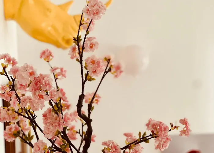 Lepois & 5 Etoiles Au Coeur De Nancy